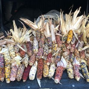 Meet your Posher, Jacob